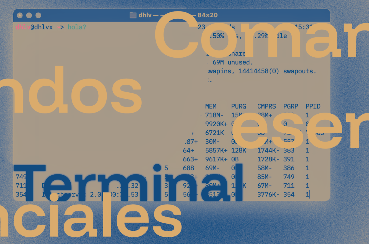 Comandos esenciales para dominar la terminal